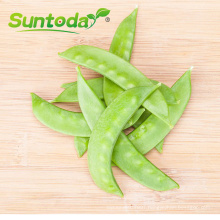 Green sweet  green pea seeds